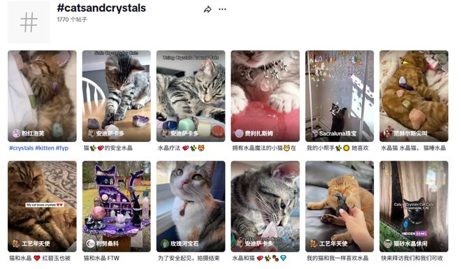 卖家单品月销6000单开元棋牌宠物水晶成爆款(图4)