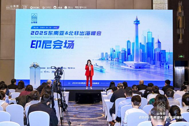办 3000家企业同聚一堂共话出海新机遇开元棋牌2025东南亚北非出海峰会成功举(图8)